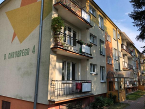 Apartamenty Chrobrego 4, Biała Podlaska